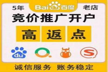 行业领先企业如何通过SEM运营提升ROI